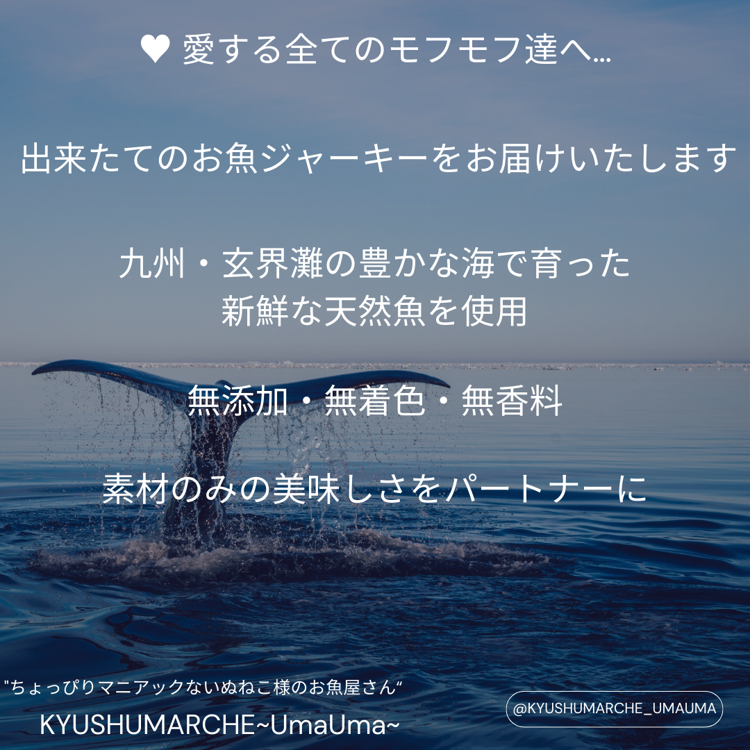 TARA Treats｜北海道産 タラ 100%  犬猫用トリーツ(KYUSHU MARCHE・UmaUmaさん)のメインイメージ